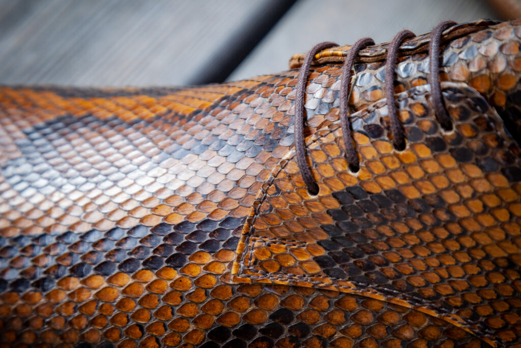 Detail der exotischen Maßschuhe aus Schlangenleder, Halbschuhe, Maßschuhmacher Hashemi, Seestadt Aspern